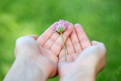 Spiritual Gifts VIII: Giving Sacrificially